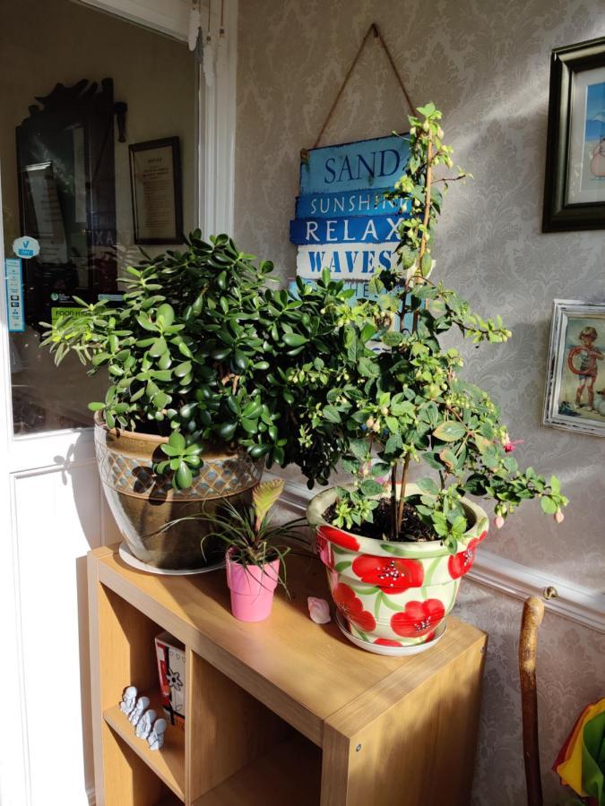 Cameron Court B&B Flamborough Εξωτερικό φωτογραφία