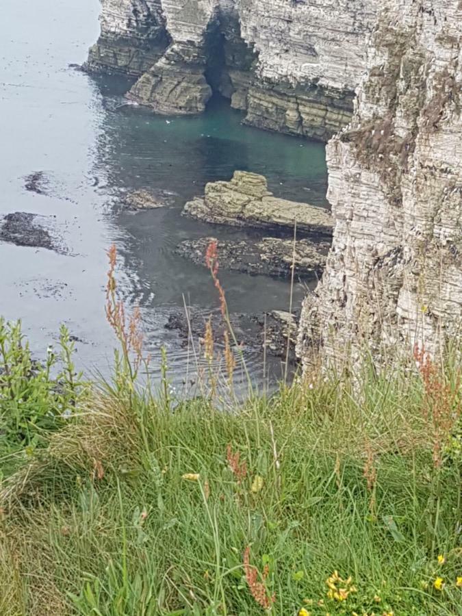 Cameron Court B&B Flamborough Εξωτερικό φωτογραφία